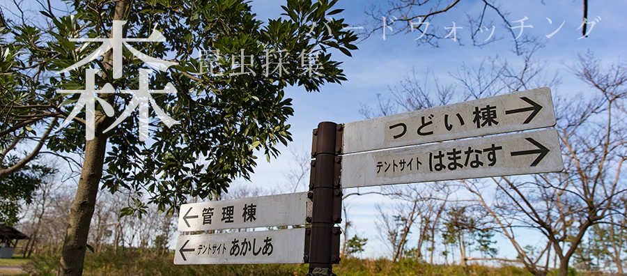 ap007_01_003.jpg